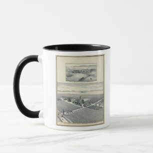 Estella Blanca Weinberg, Kalifornien Tasse