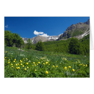 Estenc Valley im Frühjahr Französische Riviera