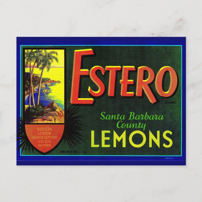 Estero-Zitronen-Früchteetikett der 40er Jahre Postkarte (Vorderseite)