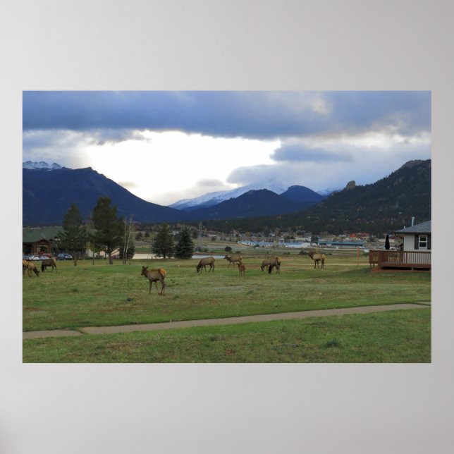 Estes Park, Co Poster (Vorne)