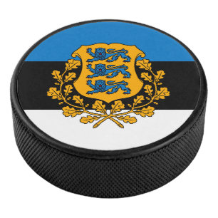 Estland Eishockey Puck