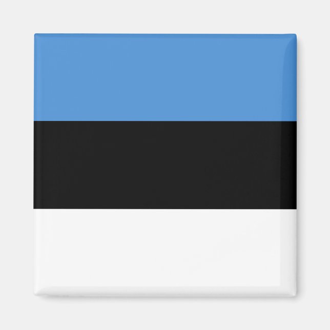 Estland-Flagge Magnet (Vorne)