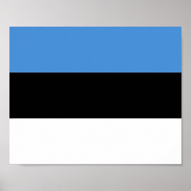Estland-Flagge Poster (Vorne)