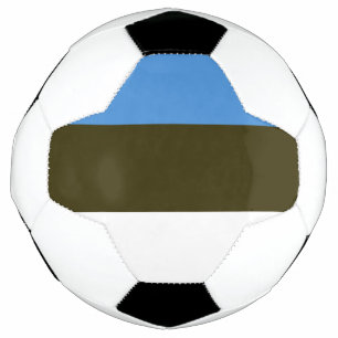 Estland Fußball