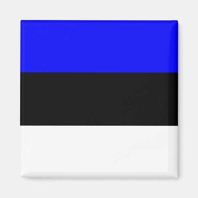 Estland Hochwertige Flagge Magnet (Vorne)