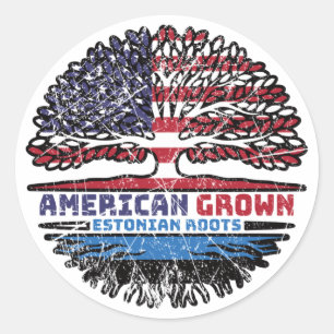 Estnisch American USA Treots Flag Runder Aufkleber