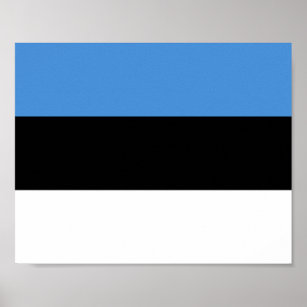 Estnische Flagge Poster