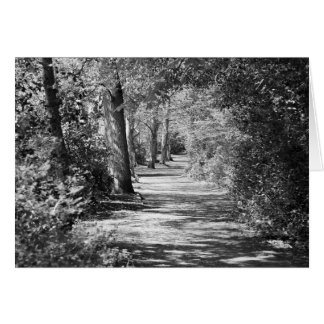 Et le chemin le traverse