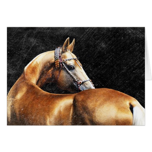 étalon de Palomino Akhal-teke (Devant Horizontal)