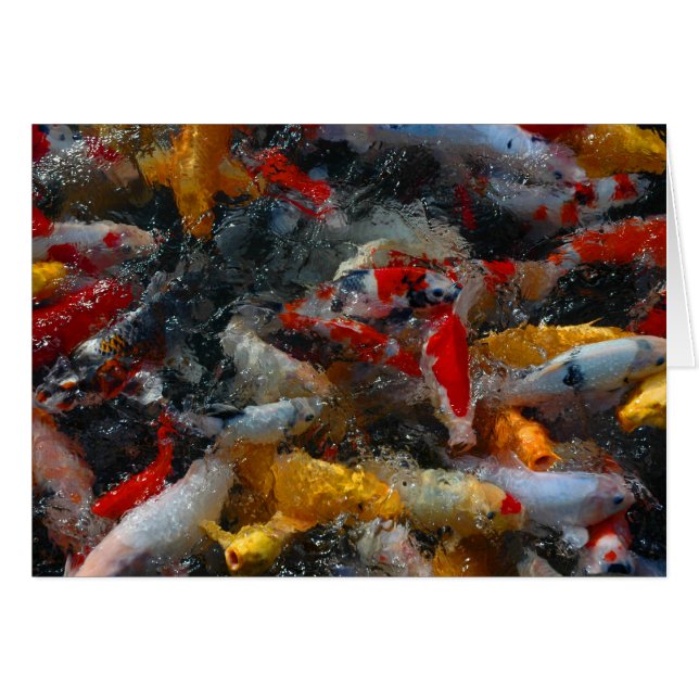 Étang de Koi (Devant Horizontal)