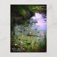 Etang Lily : Carte postale
