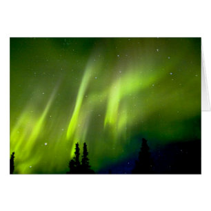 États-Unis, Alaska, Chena Hot Springs. Aurore 3