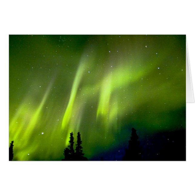 États-Unis, Alaska, Chena Hot Springs. Aurore 3 (Devant horizontal)