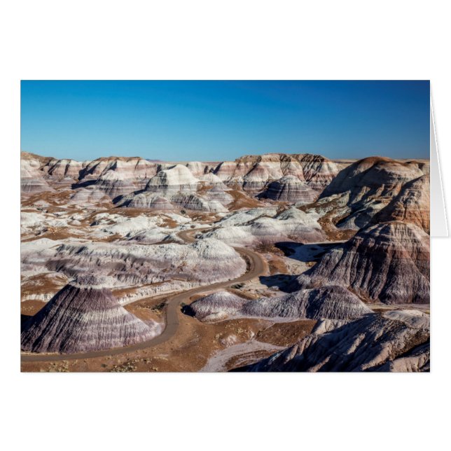 États-Unis, Arizona, Parc National de la Forêt Pet (Devant horizontal)