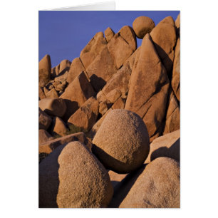 États-Unis, Californie, Parc national de Joshua Tr