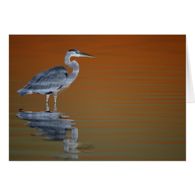 États-Unis, Floride, Saint-Pétersbourg, Fort De So (Devant horizontal)