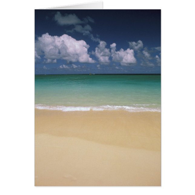 États-Unis, Hawaï. Plage (Devant)