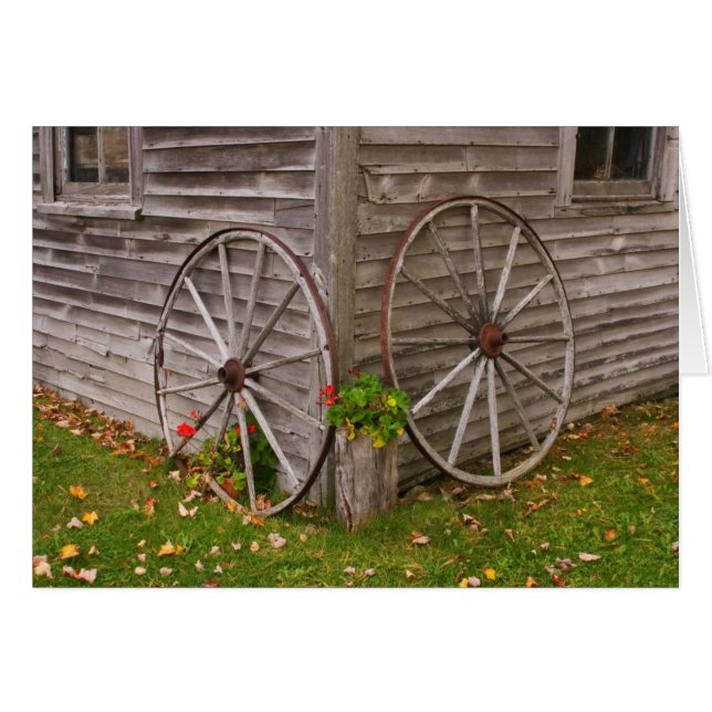 États-Unis, Maine. Roues de chariot (Devant horizontal)