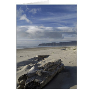 États-Unis, Oregon, Dunes de sable et Océan, Pacif