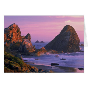 États-Unis, Oregon, Harris State Beach, Brookings.