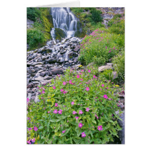 États-Unis, Oregon, Parc national du lac Crater
