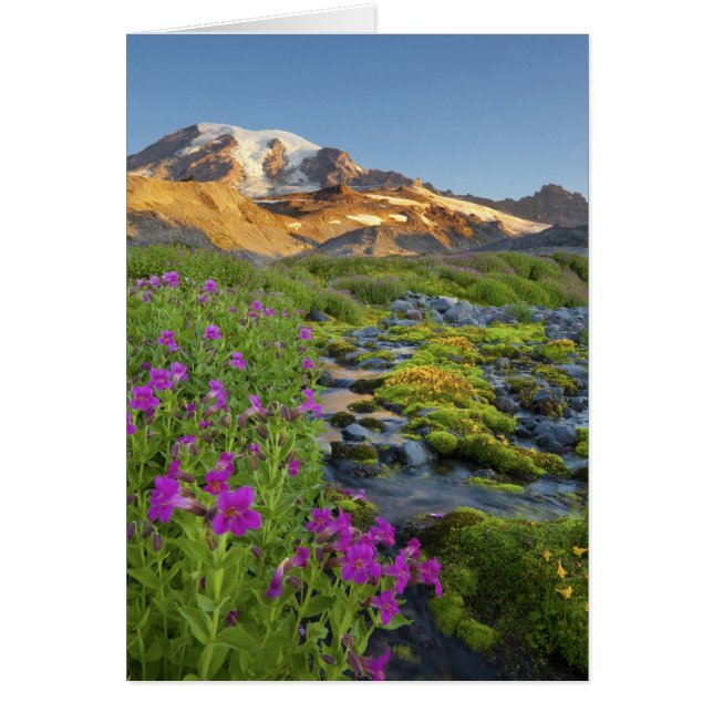 États-Unis, Parc national du Mont Rainier, Washing (Devant)