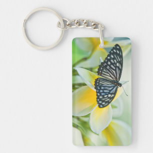 États-Unis, Pennsylvanie. Papillon swallowtail