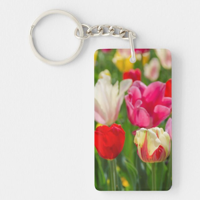 États-Unis, Tennessee, Nashville (Devant)