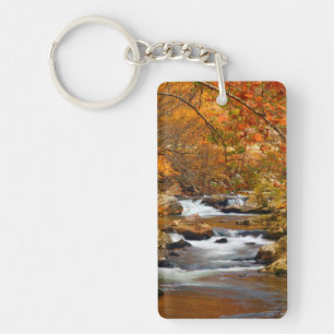 États-Unis, Tennessee. Ruisseau Rushing Mountain