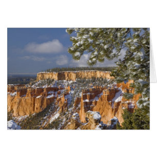 États-Unis, Utah, Parc national de Bryce Canyon. L