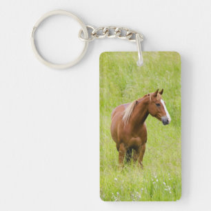 États-Unis, Washington, Cheval dans un champ print