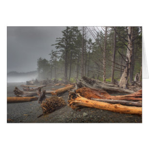 États-Unis, Washington, Parc national Olympique, R