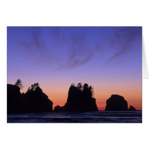 États-Unis, Washington, Parc national Olympique, S