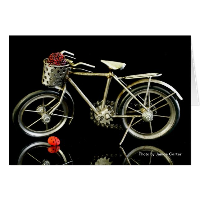 Été ! (Devant horizontal)