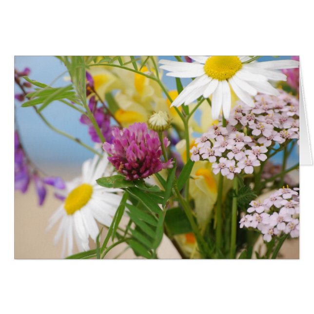 Été (Devant horizontal)