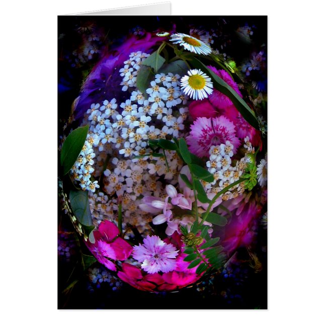 Été elliptique (Devant)