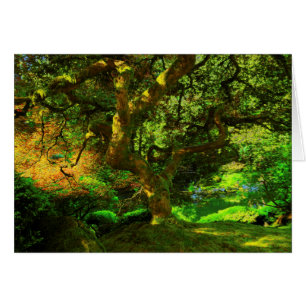 Été, jardin japonais de Portland, Portland