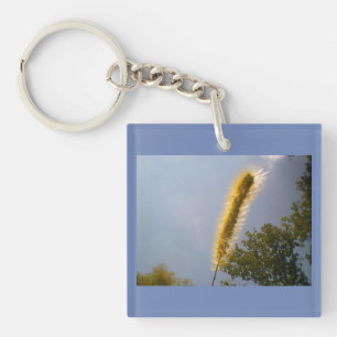 Été pittoresque