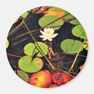"Ethereal Lily Pad Pond mit Central White Blossom Magnet