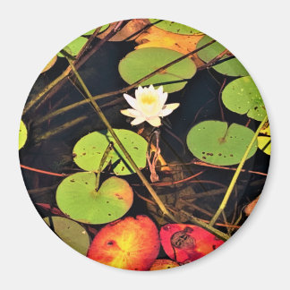 "Ethereal Lily Pad Pond mit Central White Blossom Magnet
