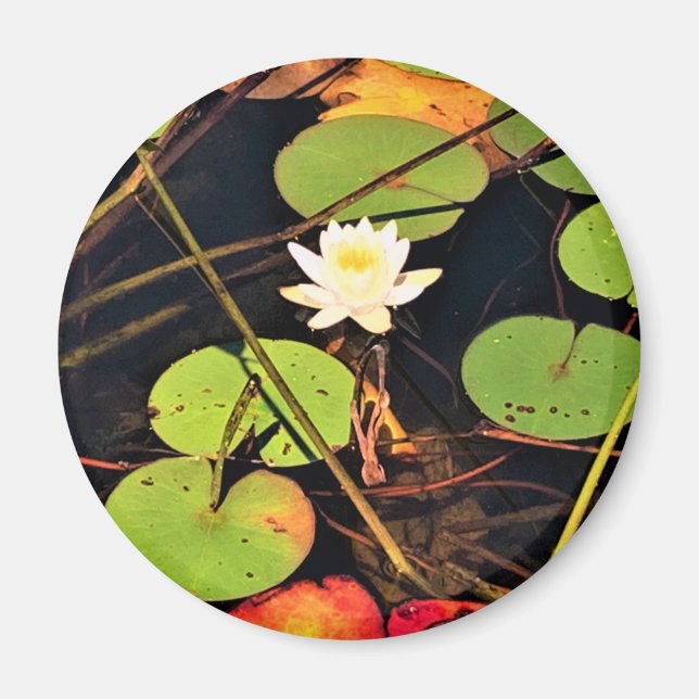 "Ethereal Lily Pad Pond mit Central White Blossom Magnet (Vorne)