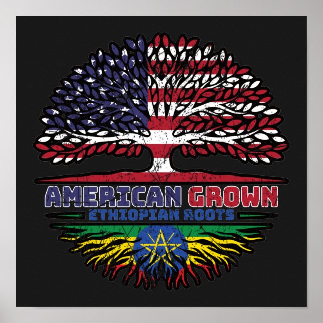 Ethiopia Ethiopian US American United States Poster (Vorne)