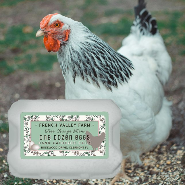 Etikett Botanisch mit Hen und Eiern (Von Creator hochgeladen)