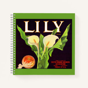 Etikett einer Lilien-Orange-Kiste aus den 1930er J Notizbuch