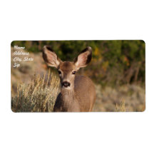 Etikett für den Tiertransport