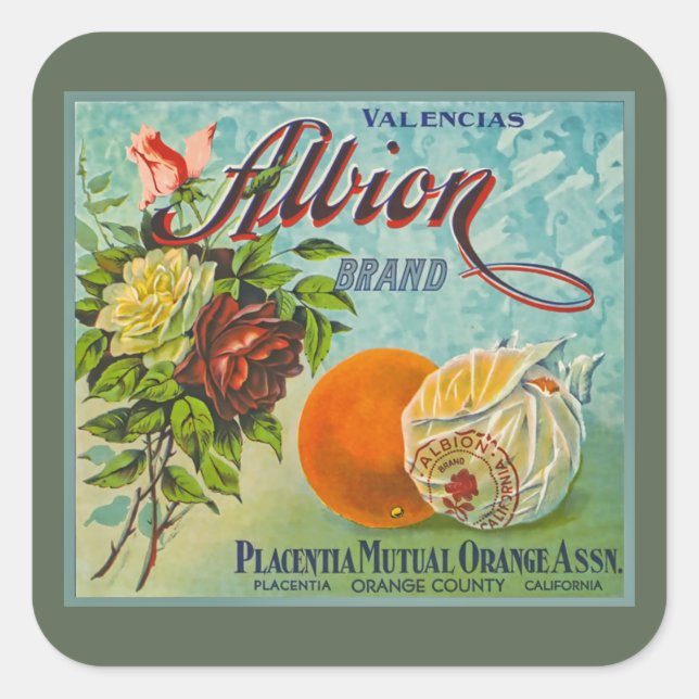Etikett für die Fruchtkorbe Albion Orange Quadratischer Aufkleber (Vorderseite)