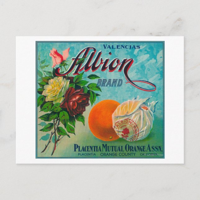Etikett für die Marke Albion Citrus Crate Postkarte (Vorderseite)