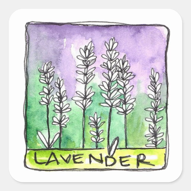 Etikett für die Mischung von Lavendel-Kräutertee Quadratischer Aufkleber (Vorderseite)