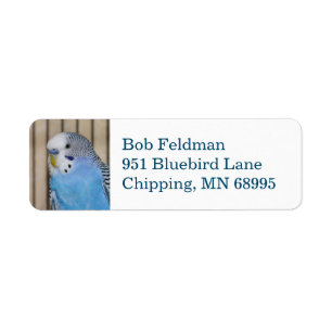 Etikett für die Rückgabe von Blue Parakeet