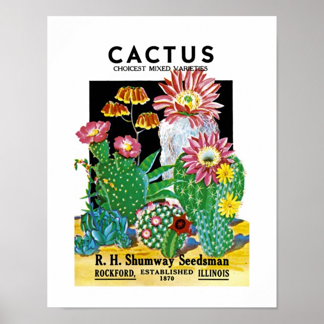 Etikett für Kaktus-Saatpackungen Poster (Vorne)